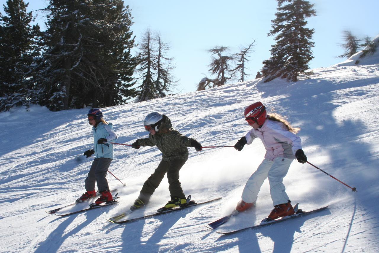 Chaletdorf-Fanningberg Weisspriach Bagian luar foto