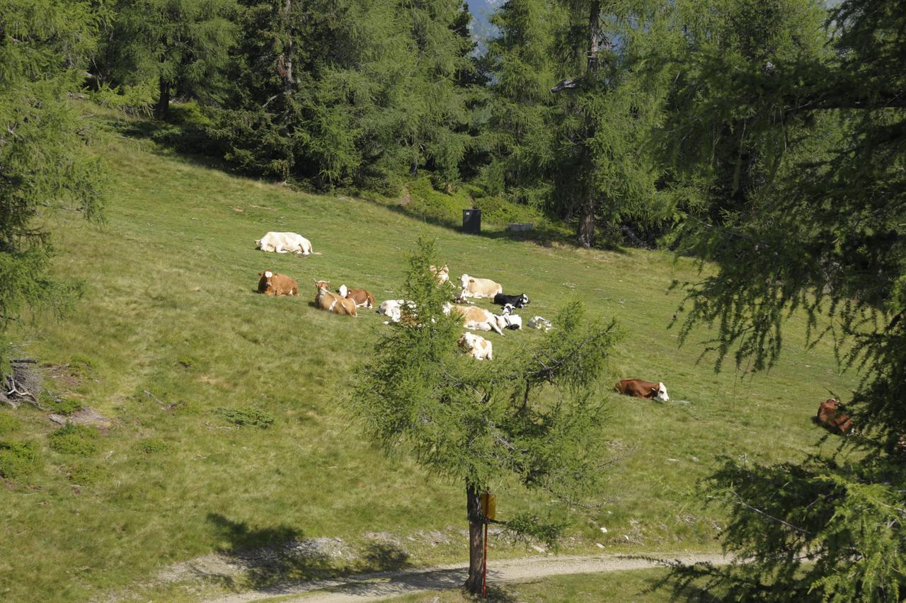 Chaletdorf-Fanningberg Weisspriach Bagian luar foto