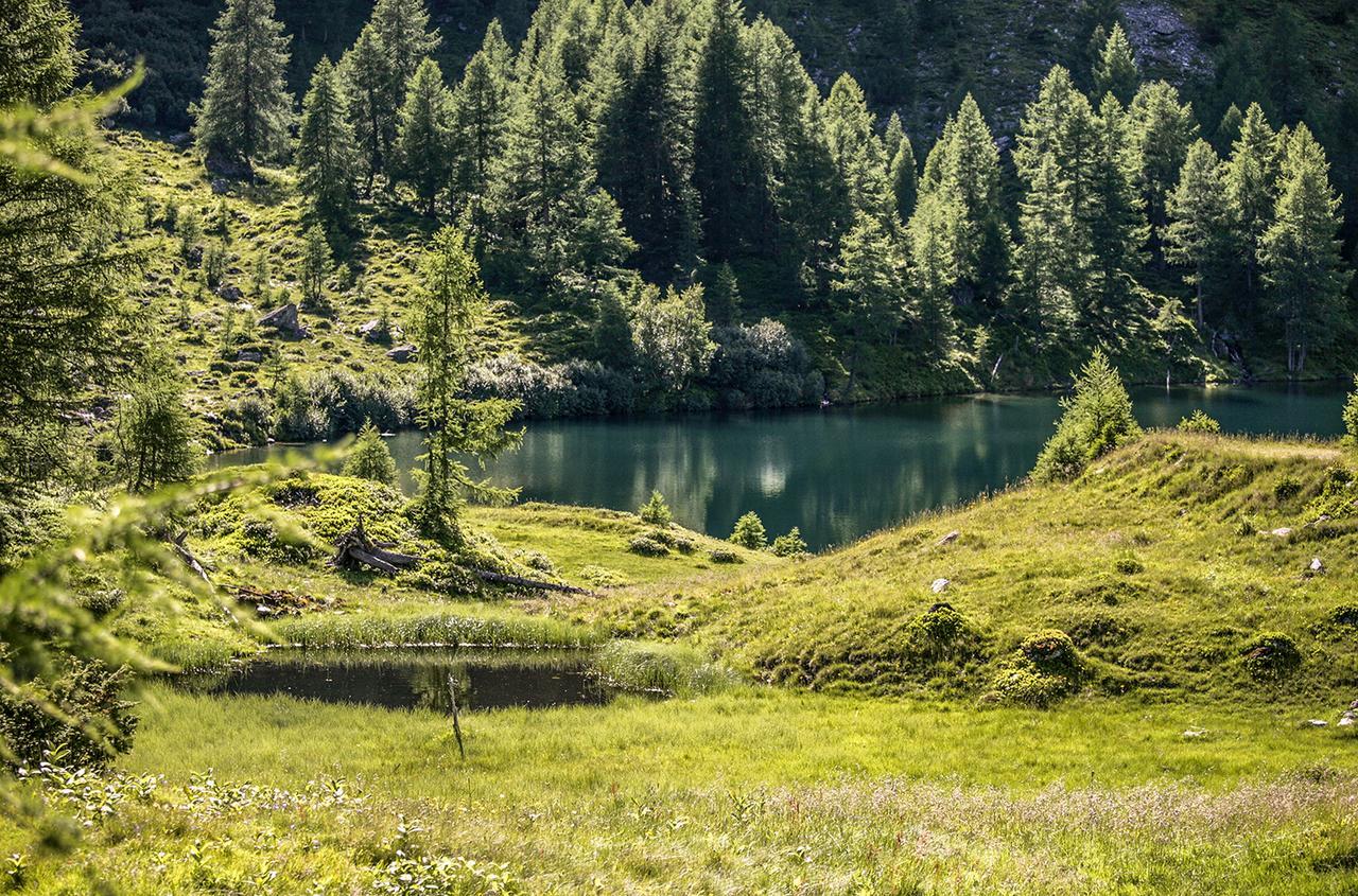 Chaletdorf-Fanningberg Weisspriach Bagian luar foto