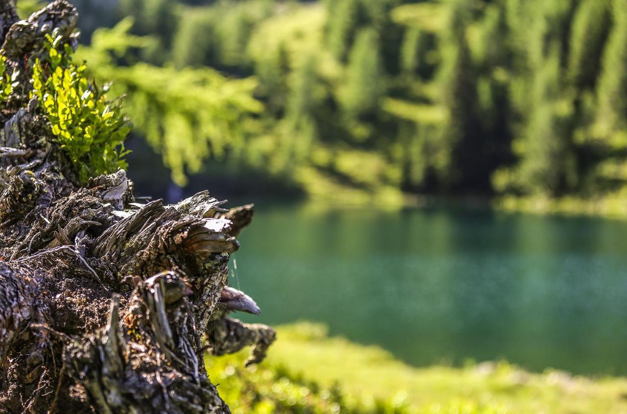 Chaletdorf-Fanningberg Weisspriach Bagian luar foto
